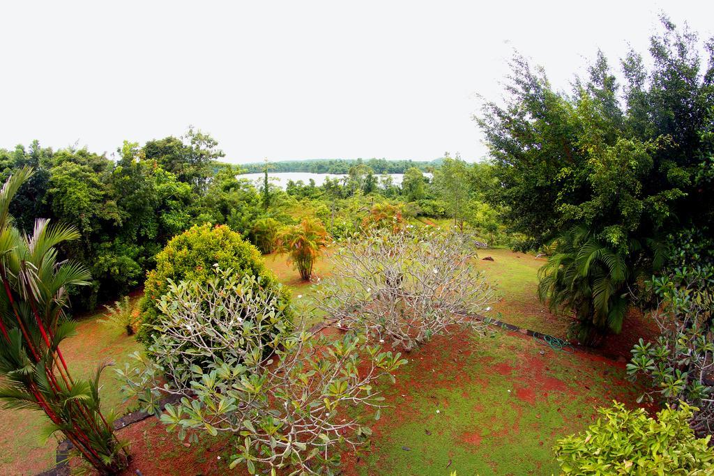 Sobaco Nature Resort Bentota Exterior photo