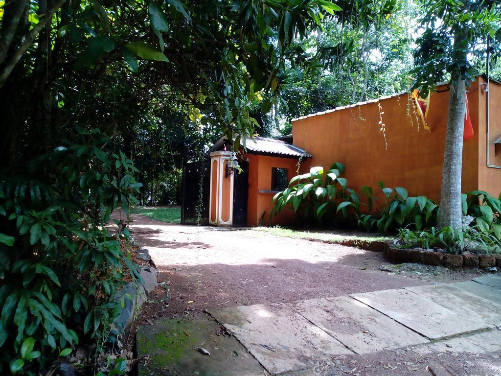 Sobaco Nature Resort Bentota Exterior photo