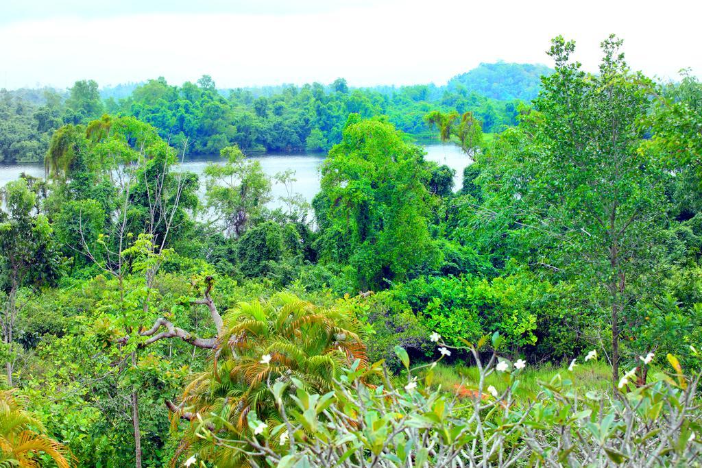 Sobaco Nature Resort Bentota Room photo